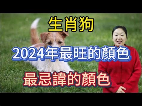 屬狗幸運顏色|【屬狗幸運色】揭秘2024年屬狗必備幸運色！衝破運。